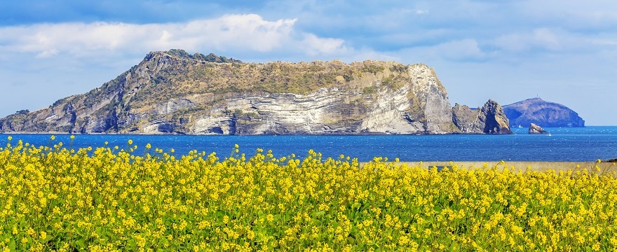 済州島